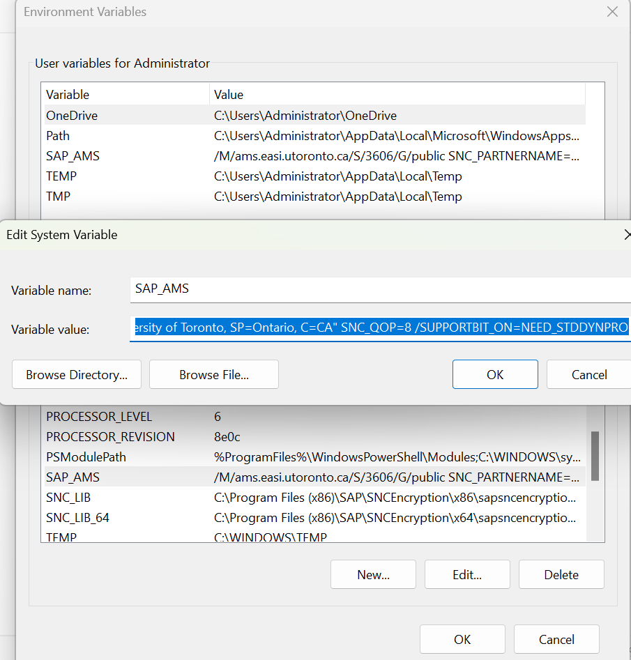 Image showing new system variable added to the system variables