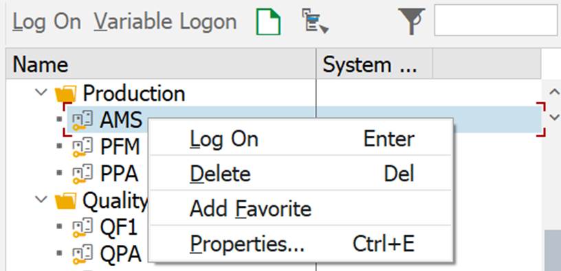 Image showing sap logonpad AMS system properties