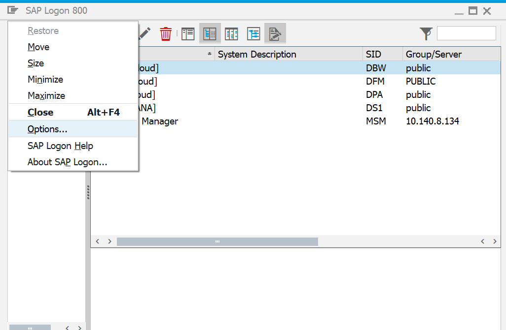 A screenshot of a SAPGUI logon pad with initial screen showing the options button